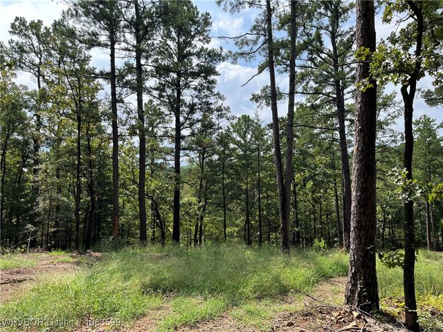 TBD 0035 Goats Bluff, Wister, OK 74966