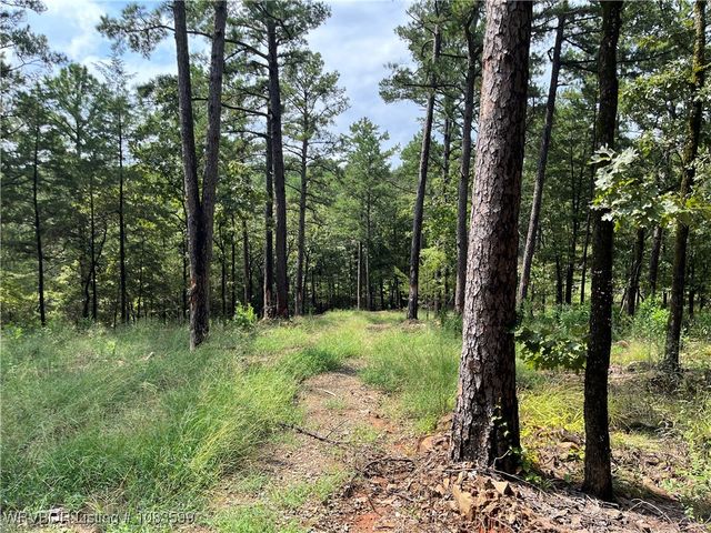 TBD 0035 Goats Bluff, Wister, OK 74966