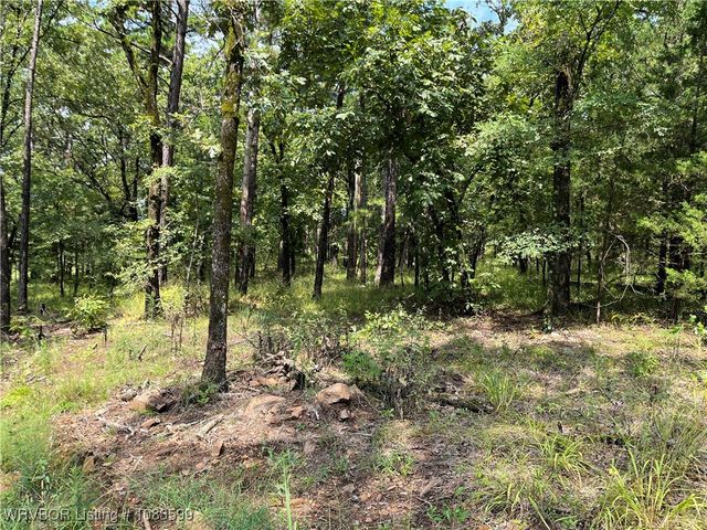 TBD 0035 Goats Bluff, Wister, OK 74966