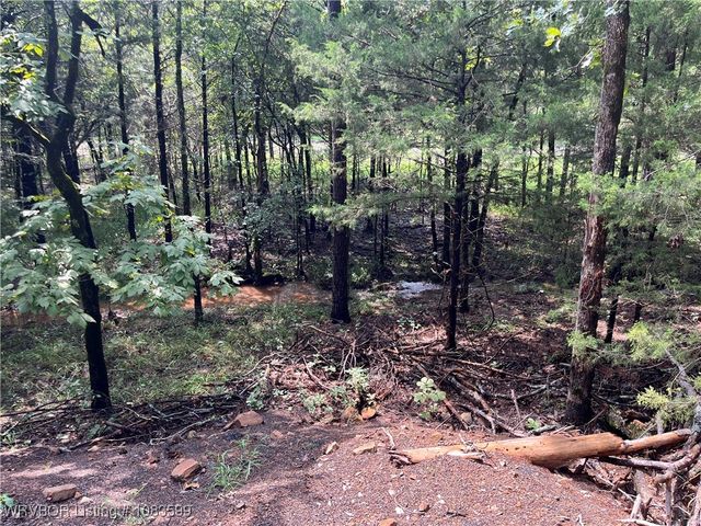 TBD 0035 Goats Bluff, Wister, OK 74966