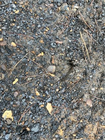 TBD 0035 Goats Bluff, Wister, OK 74966