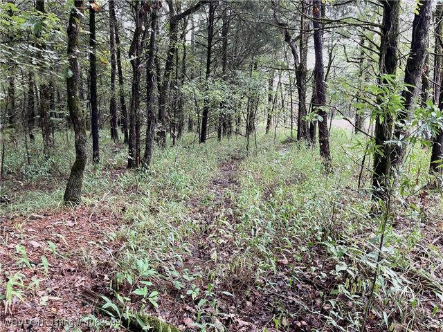 TBD 0035 Goats Bluff, Wister, OK 74966