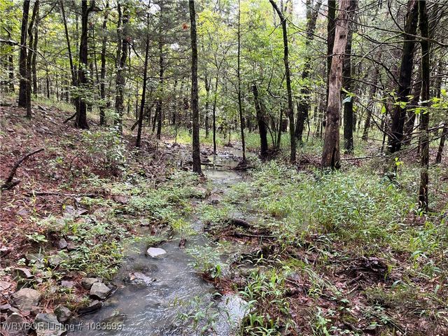 TBD 0035 Goats Bluff, Wister, OK 74966