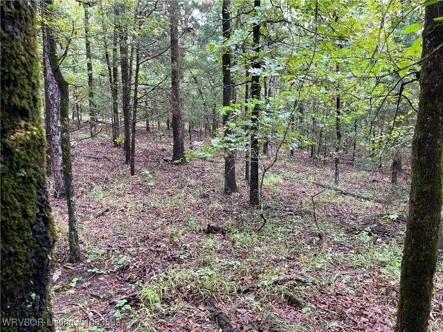 TBD 0035 Goats Bluff, Wister, OK 74966