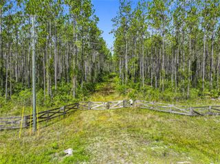 TBD NW CR 336, Chiefland, FL 32626