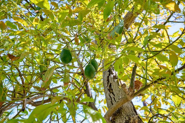 567 Mesa Drive, Camarillo, CA 93010