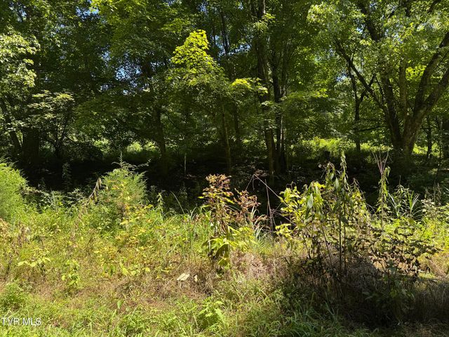 2759 A J Osborne Highway, Blackwater, VA 24221