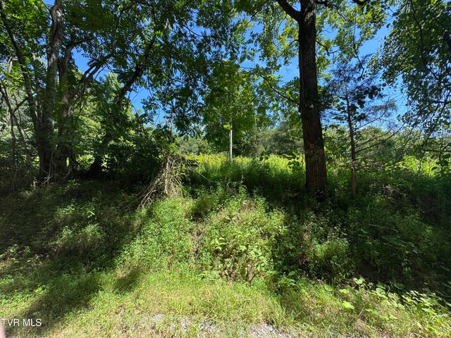 2759 A J Osborne Highway, Blackwater, VA 24221