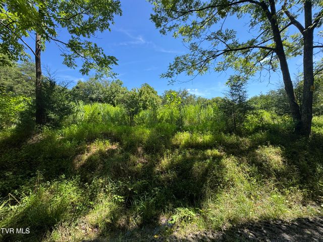 2759 A J Osborne Highway, Blackwater, VA 24221