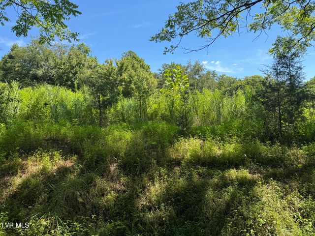 2759 A J Osborne Highway, Blackwater, VA 24221