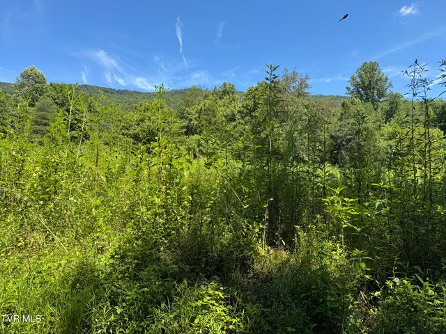 2759 A J Osborne Highway, Blackwater, VA 24221