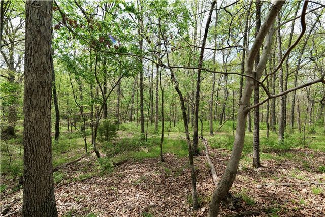 Lot 23BB Hummingbird Road, Gravette, AR 72736