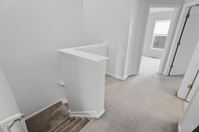 1113 Cutter Street, Cincinnati, OH 45203