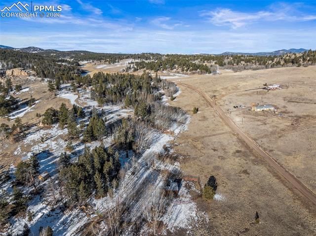 546 Alpine Meadows Lane, Florissant, CO 80816