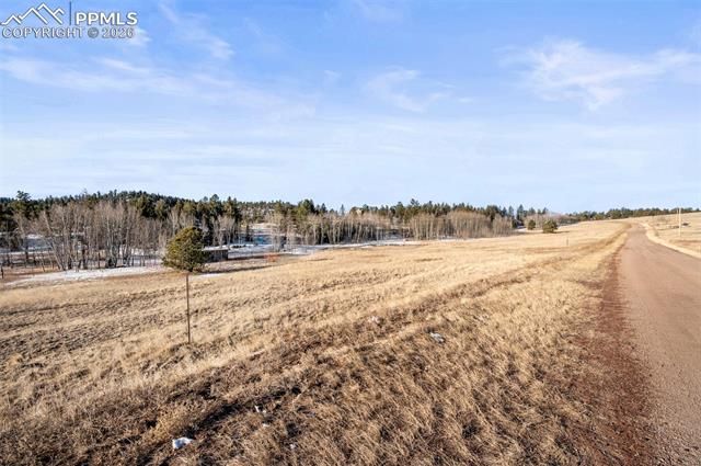 546 Alpine Meadows Lane, Florissant, CO 80816
