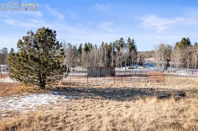 546 Alpine Meadows Lane, Florissant, CO 80816