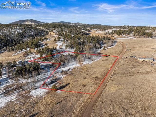 546 Alpine Meadows Lane, Florissant, CO 80816