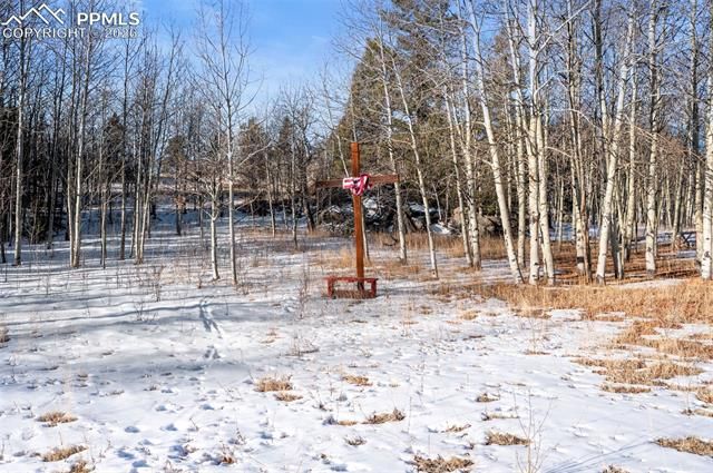 546 Alpine Meadows Lane, Florissant, CO 80816