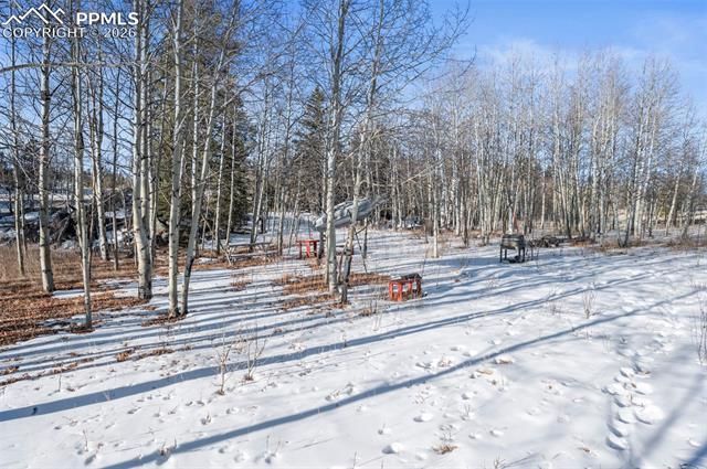 546 Alpine Meadows Lane, Florissant, CO 80816