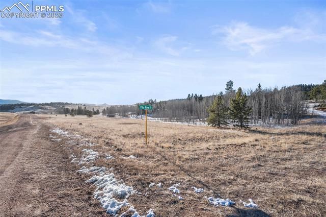 546 Alpine Meadows Lane, Florissant, CO 80816