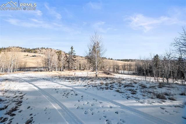 546 Alpine Meadows Lane, Florissant, CO 80816