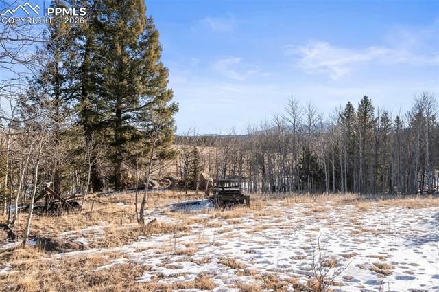 546 Alpine Meadows Lane, Florissant, CO 80816