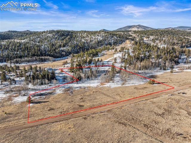 546 Alpine Meadows Lane, Florissant, CO 80816