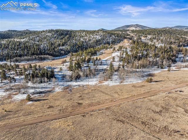 546 Alpine Meadows Lane, Florissant, CO 80816