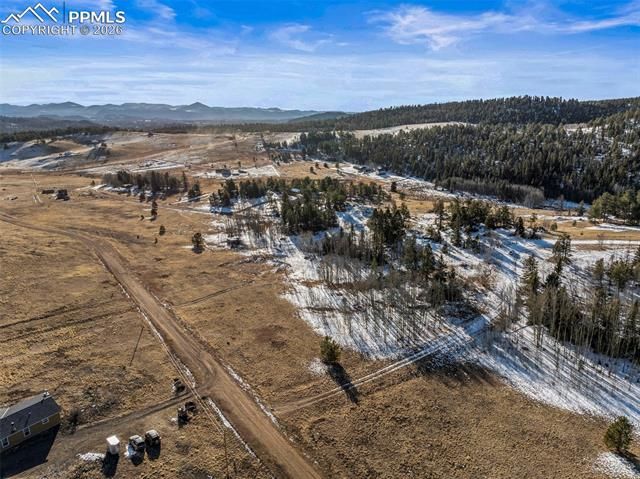 546 Alpine Meadows Lane, Florissant, CO 80816