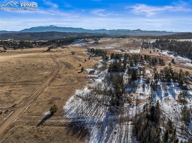 546 Alpine Meadows Lane, Florissant, CO 80816