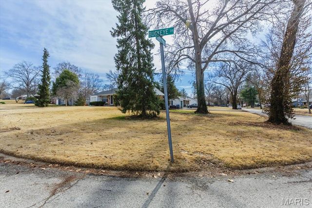 968 Buckeye Drive, St Louis, MO 63135