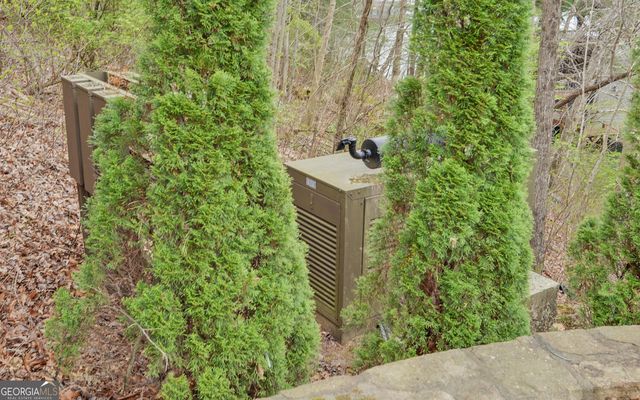 1810 Murray Cove Road, Tiger, GA 30576