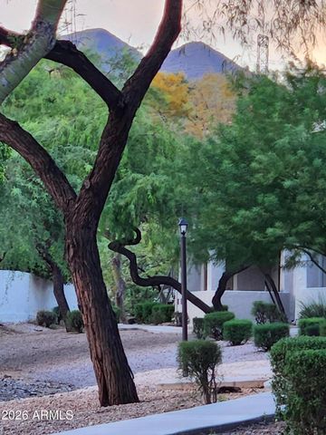 11375 E SAHUARO Drive 2082, Scottsdale, AZ 85259