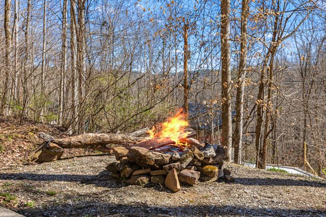 50 Platinum Drive, Slade, KY 40376