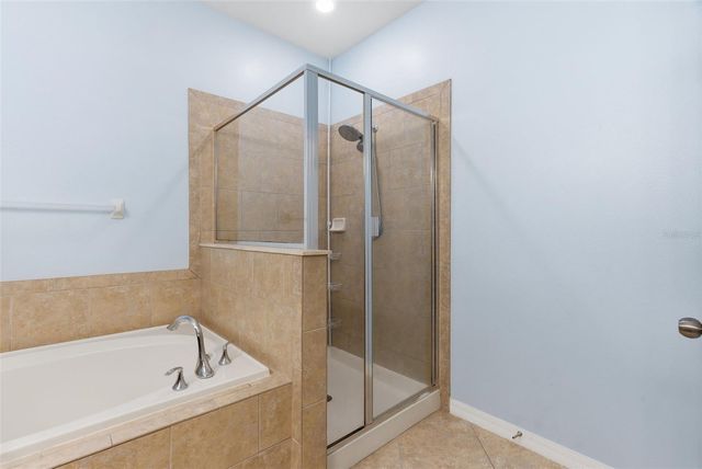 12423 BALLENTRAE FOREST DRIVE, Riverview, FL 33579