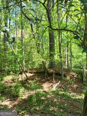 0 NW Grove Park Place NW, Atlanta, GA 30318