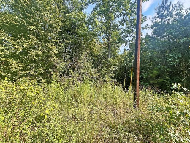 360 Private Road 6152, Woodville, TX 75979