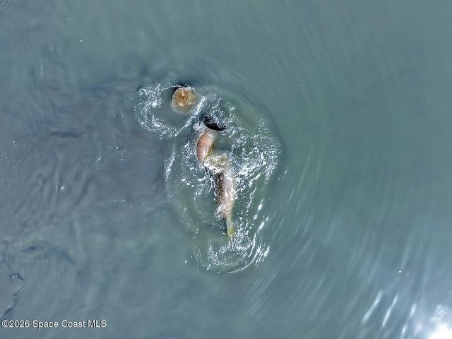 300 Columbia Drive 2403, Cape Canaveral, FL 32920