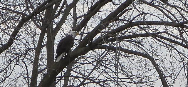 7089 W Stuart Road, Orfordville, WI 53576