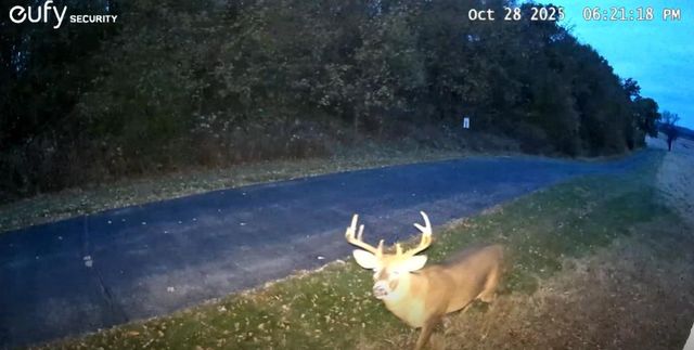 7089 W Stuart Road, Orfordville, WI 53576