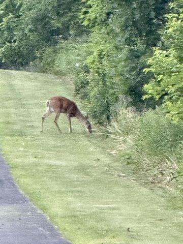 7089 W Stuart Road, Orfordville, WI 53576