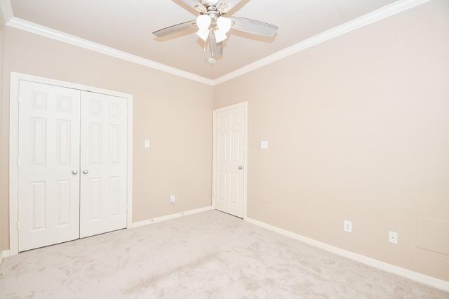 3202 Holly Meadow Drive, Houston, TX 77042