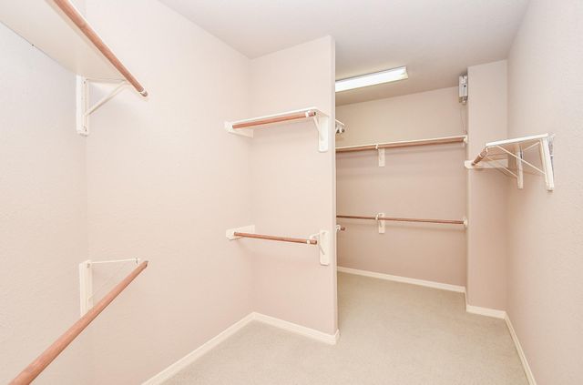 3202 Holly Meadow Drive, Houston, TX 77042