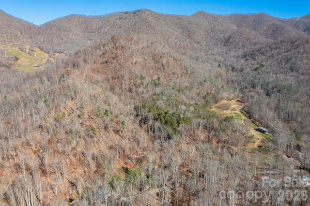 190 Blackberry Inn Road 1, Weaverville, NC 28787