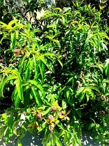 18893 Santa Isadora Street, Fountain Valley, CA 92708