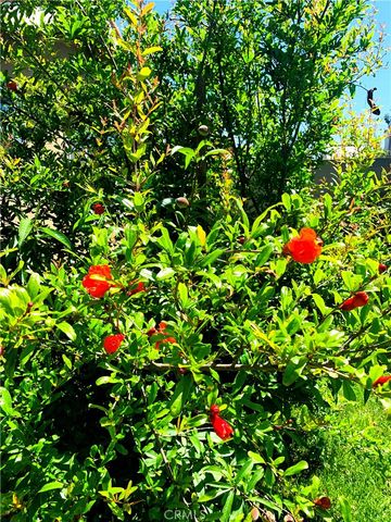 18893 Santa Isadora Street, Fountain Valley, CA 92708