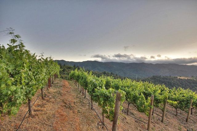 15668 Bohlman Road, Saratoga, CA 95070