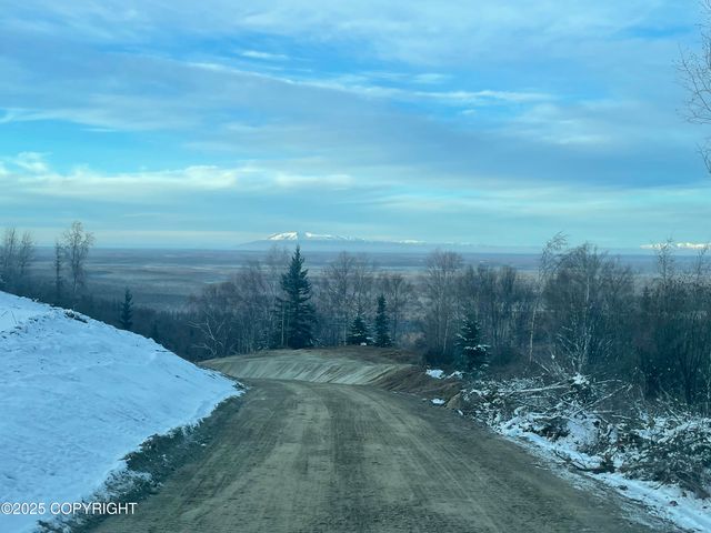 15561 W Willa's Way, Willow, AK 99688