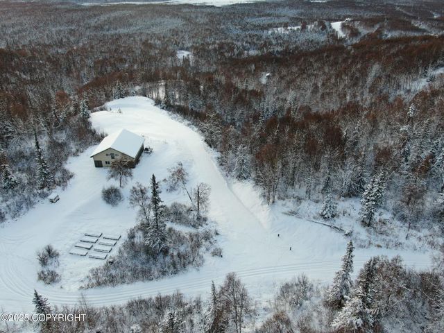 15561 W Willa's Way, Willow, AK 99688
