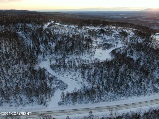 15561 W Willa's Way, Willow, AK 99688